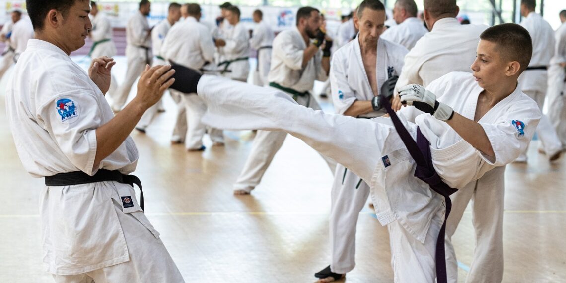 تفاوت وکوتورین با کاراته، کیوکوشین و هنرهای رزمی دیگر