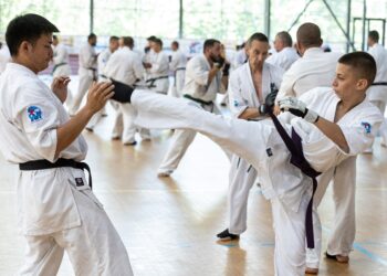 تفاوت وکوتورین با کاراته، کیوکوشین و هنرهای رزمی دیگر